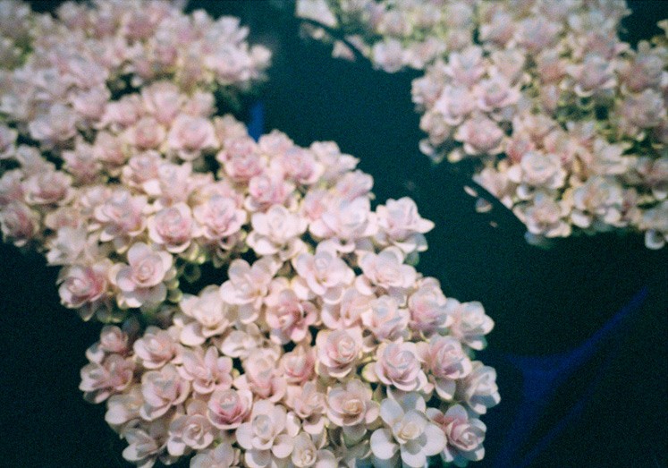 http://www.weihsinyen.com/files/gimgs/th-15_12_Untitled(Flowery_band)_w.jpg